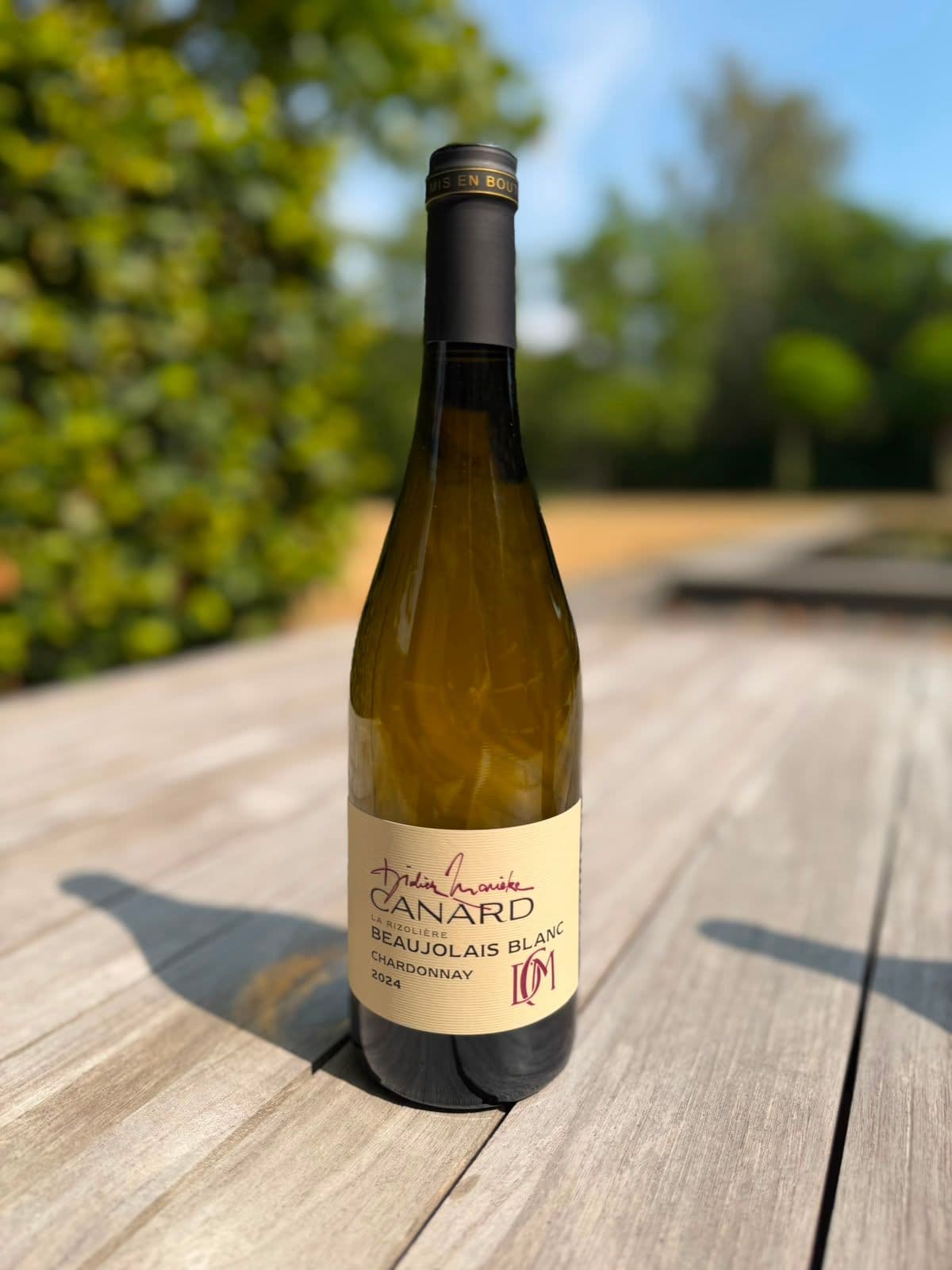 Beaujolais Blanc